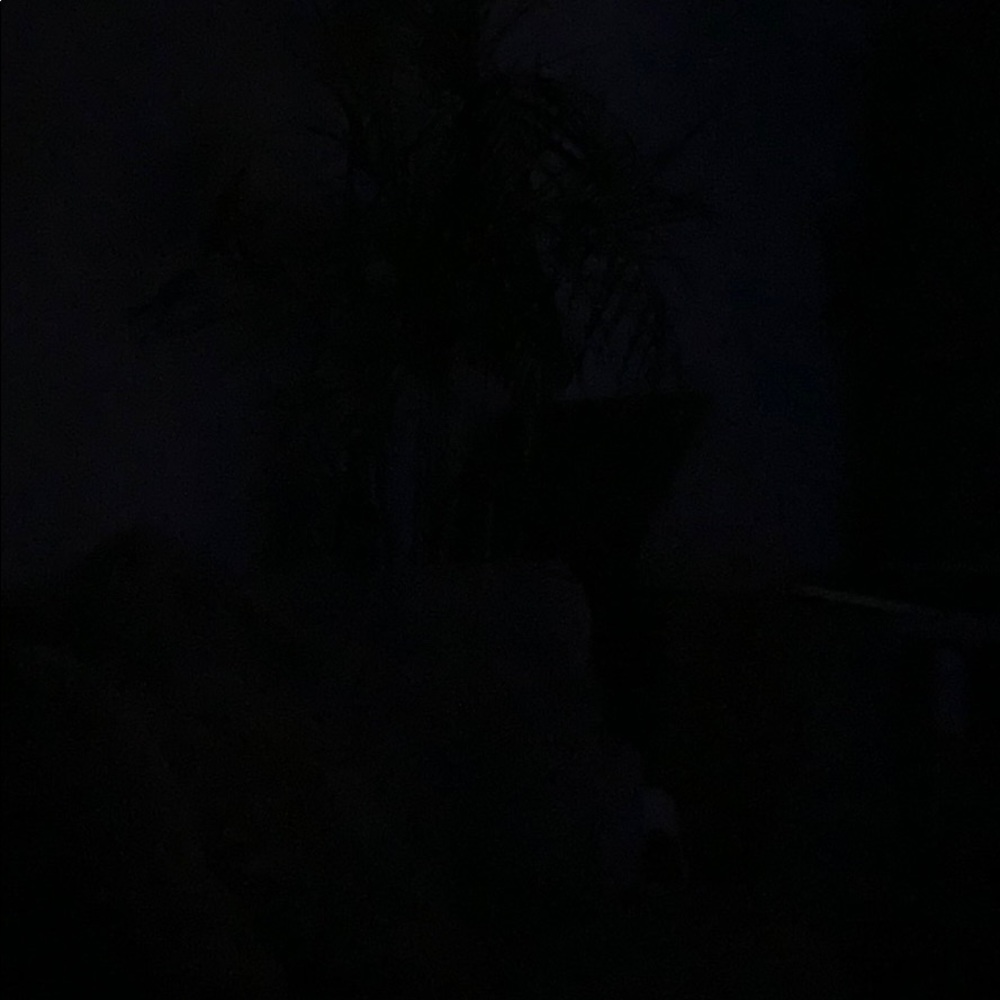 Meet your Posher, Michelle m.